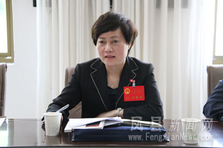 张帆参加人大代表团讨论:凝聚发展合力 建设幸福凤县