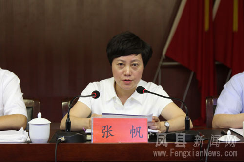 县长张帆出席会议并对三项工作进行了安排