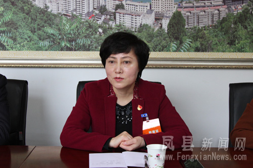 县委书记张帆参加"两会"分组讨论
