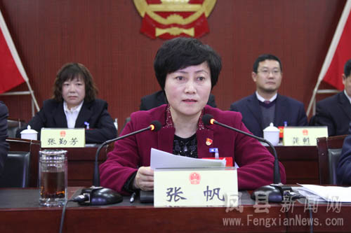 县委书记,县人大常委会主任张帆作重要讲话