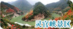 ��ѯ�绰��0917-4810888