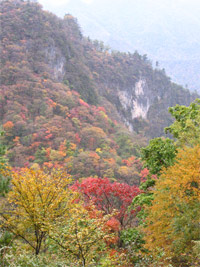 �������ͼ