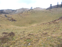 �������ͼ